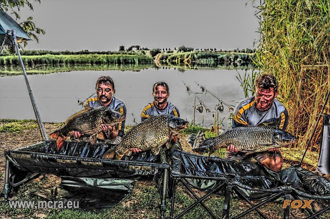 MeetCarp Romanian Awards 2013 (4) - mcr0474hdrmode2-2.jpg